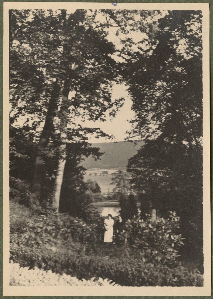 Niegoszowice, park przy dworze, postacie w oddali, widok