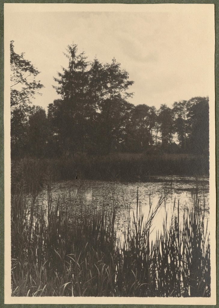 Niegoszowice, staw w parku, widok