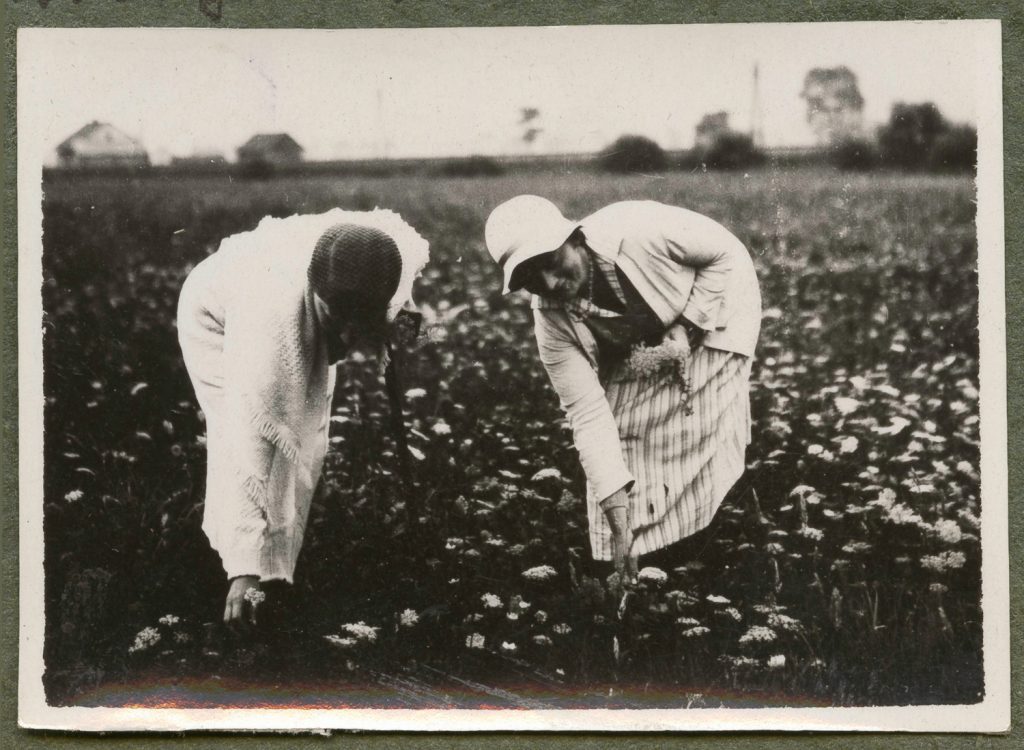 Rudawa, Karola i Zofia Kosińskie zbierają kwiaty na łące, portret w plenerze