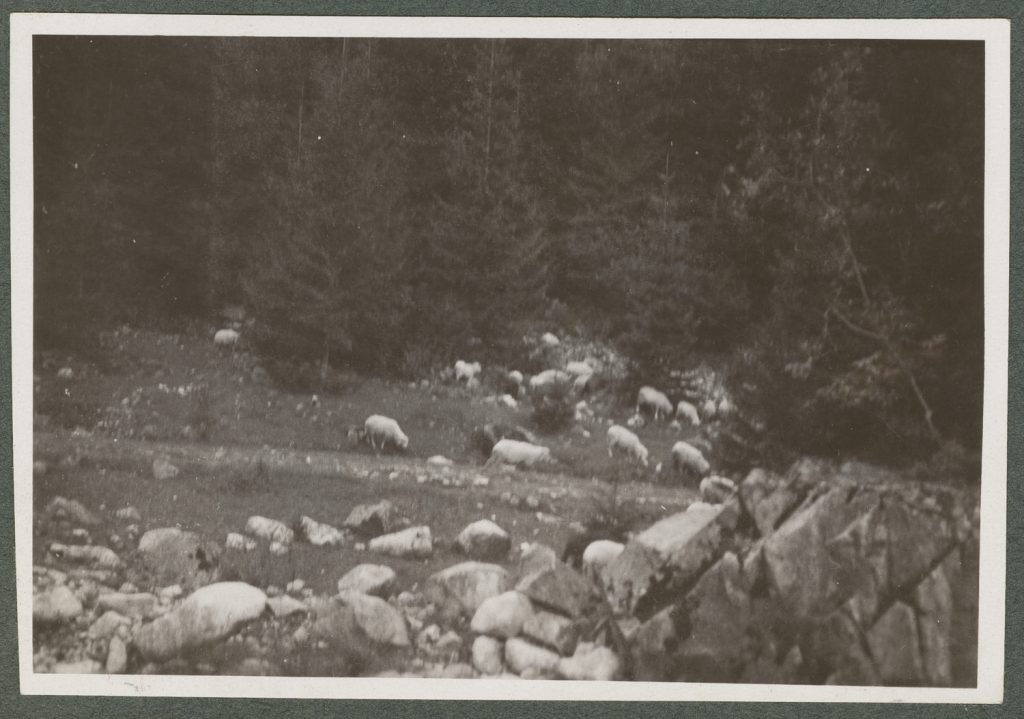 Tatry, pejzaż górski