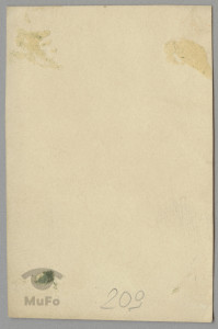 Zofia Mussilowa