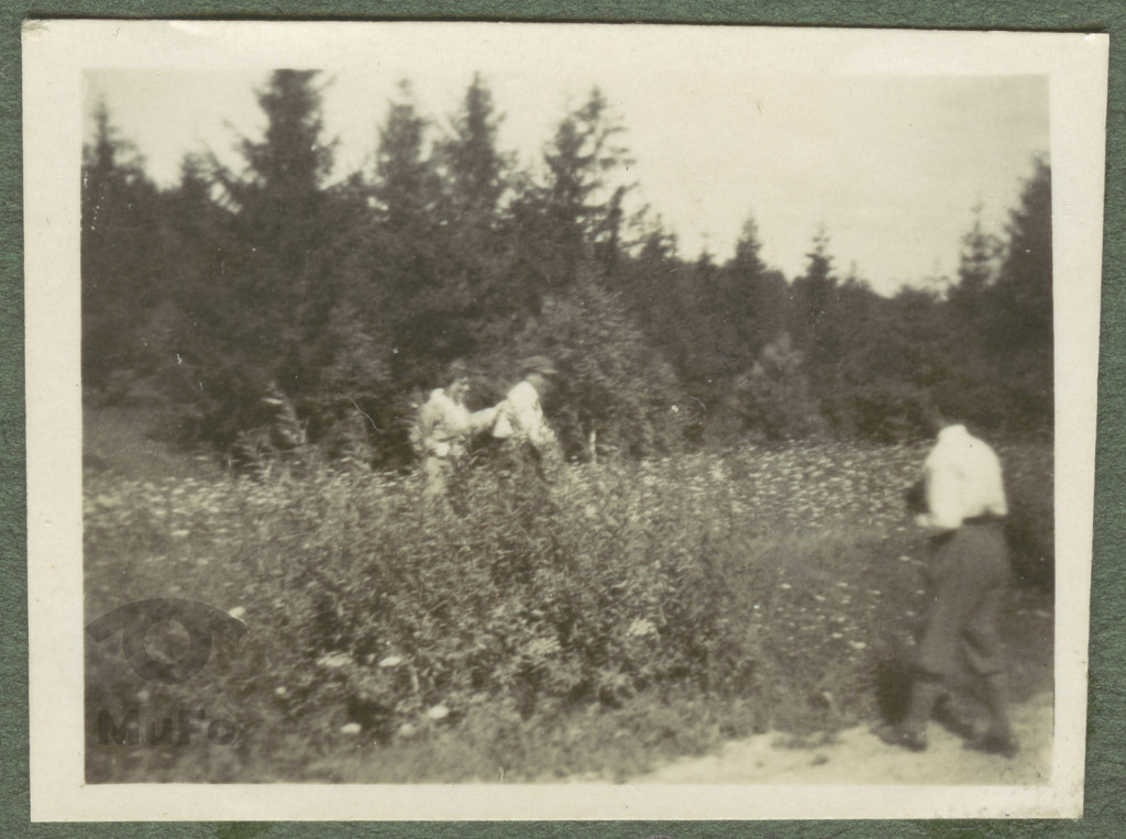 Zofia i Paweł Mussilowie, Tadeusz Mussil, na łące