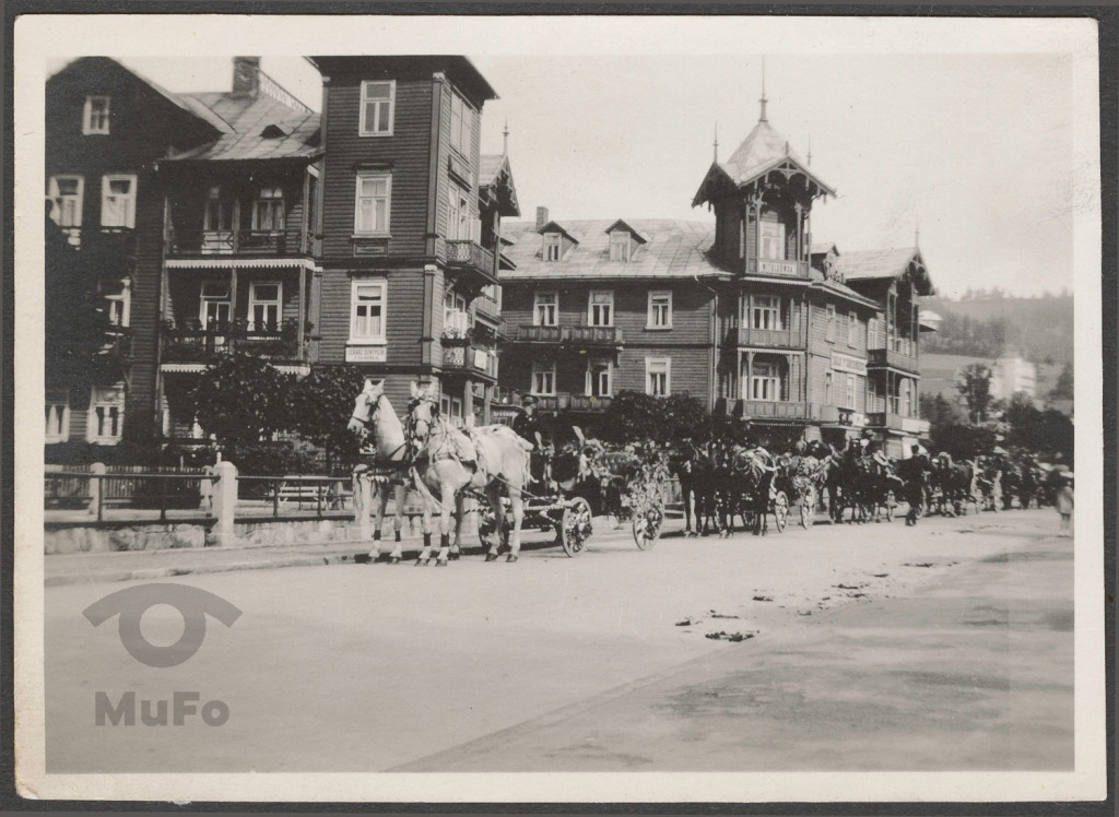 widok willi i dorożek