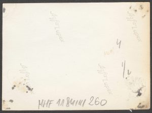 widok willi i dorożek