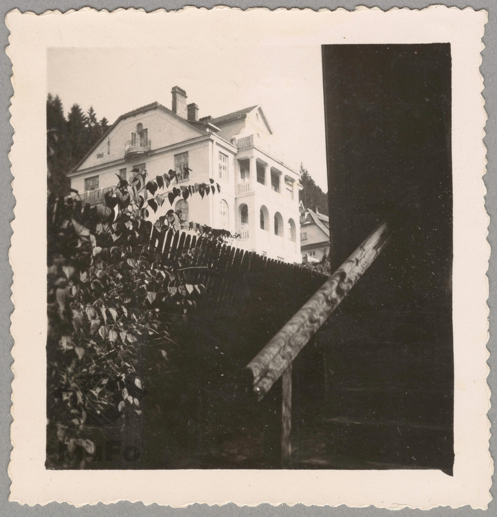 Krynica, willa Stella