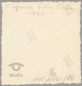 Krynica, willa Stella