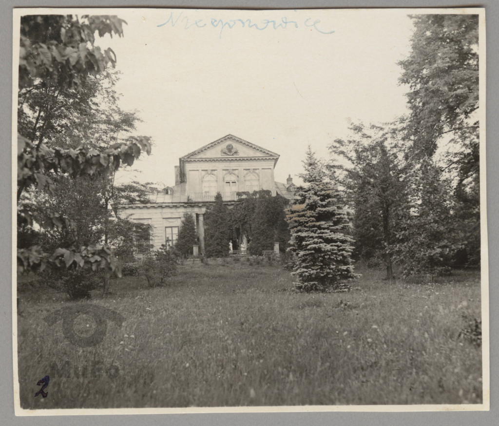 Niegoszowice, pałac Rostworowskich, widok ogólny