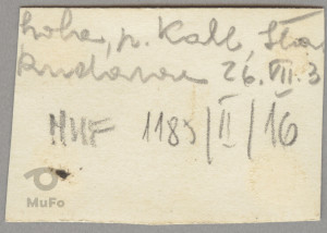 Karola i Stanisław Karyłowscy, p. Kahl w ogrodzie