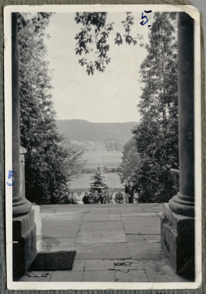 Niegoszowice, widok od drzwi wejściowych do pałacu
