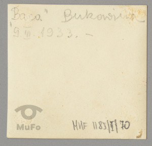 pies owczarek podhalański, "Baca", portret