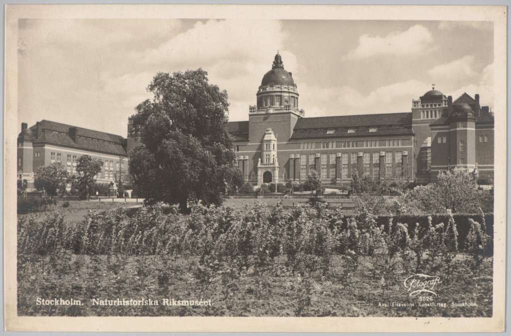 Sztokholm, Muzeum Historii Naturalnej.