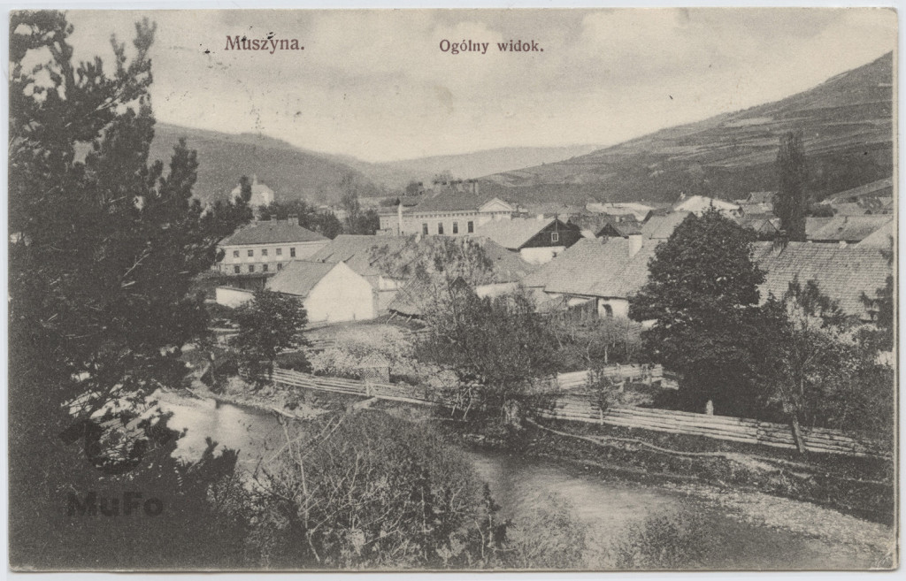 Muszyna, panorama
