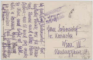 Windischgraz (obecnie Słowenia), zamek Feldenhofen