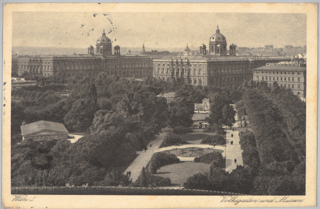 panorama Wiednia  ogrody