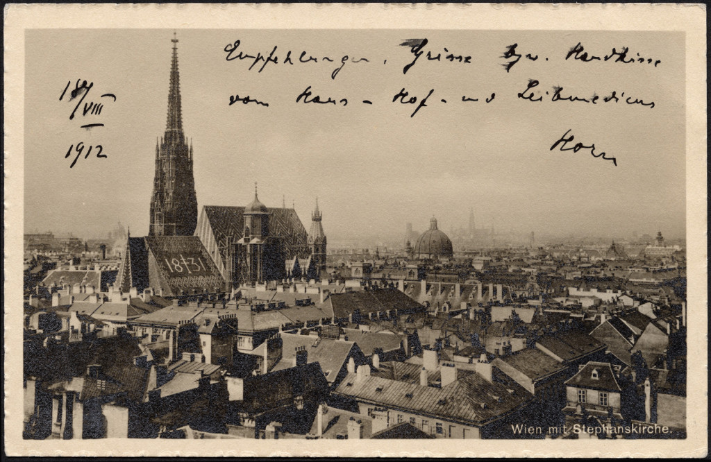 panorama  Wiednia katedra św. Stefana