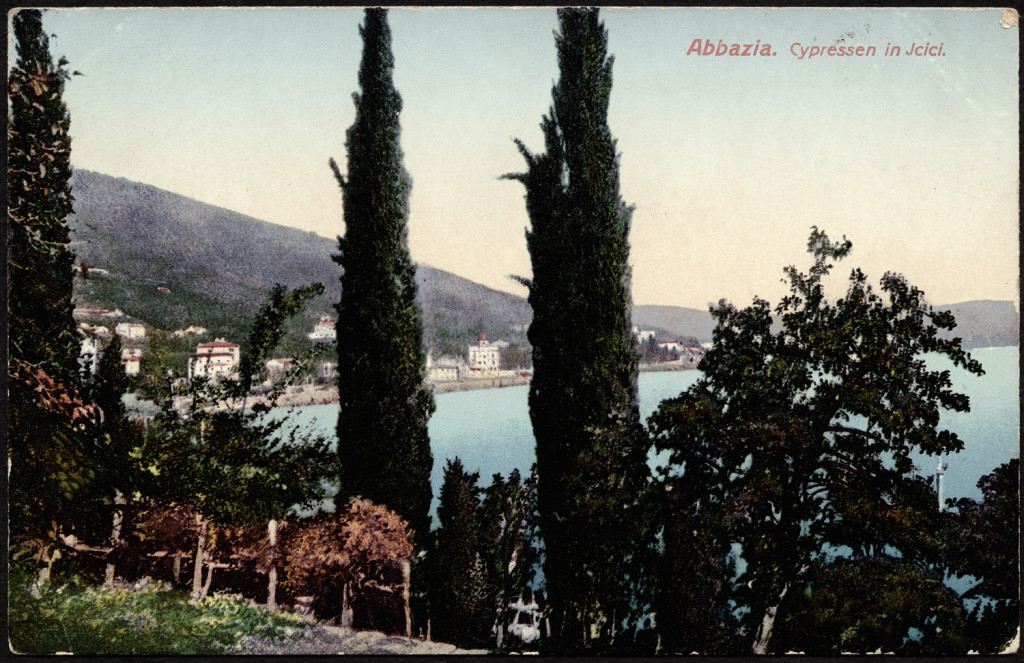Abacja (Opatija) widok morza poprzez cyprysy