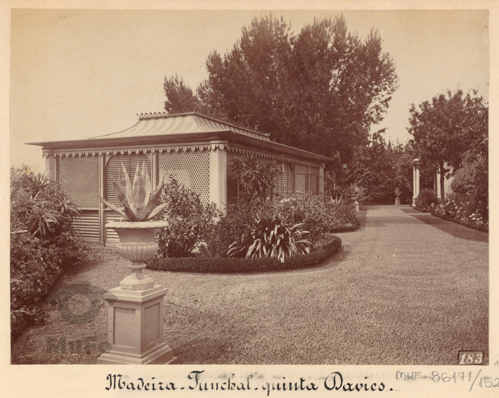 Madera. Funchal. Posiadłość Davisa.