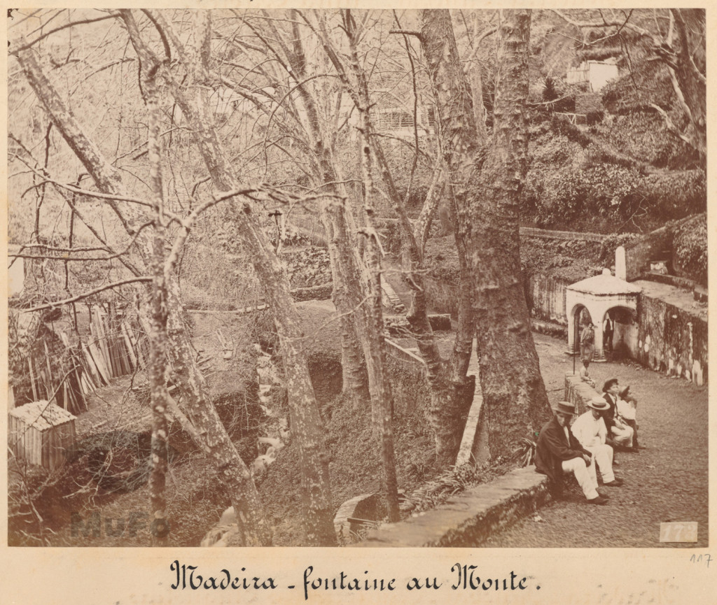 Madera. Funchal. Źródełko na górze Monte