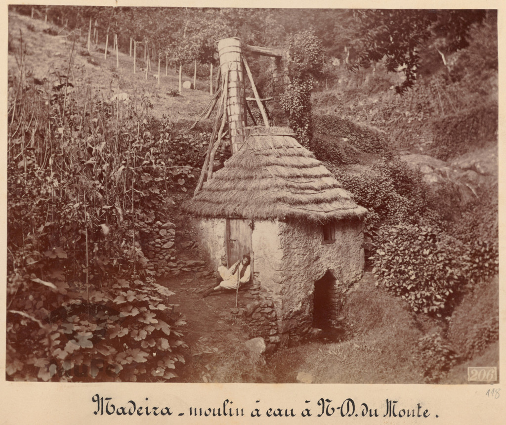 Madera. Młyn na górze Monte