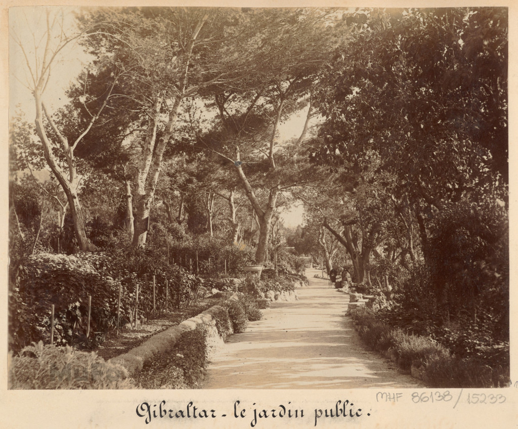 Gibraltar. Ogród publiczny.