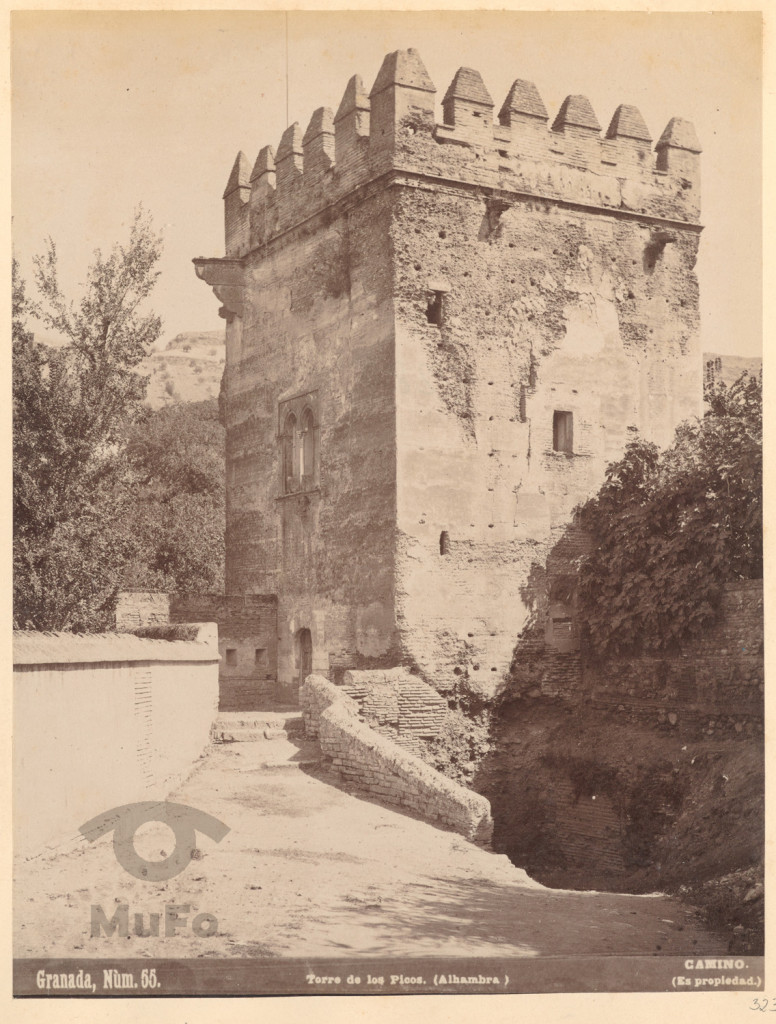 Wieża -  torre de los Picos