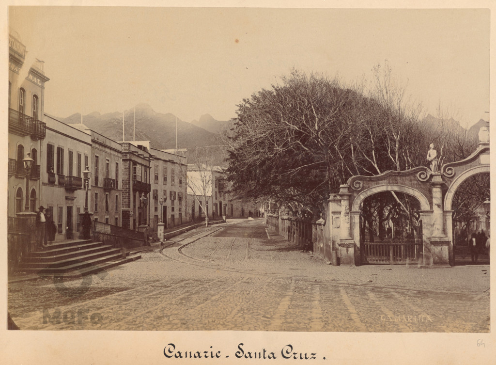 Wyspy Kanaryjskie. Santa Cruz. Camarina.