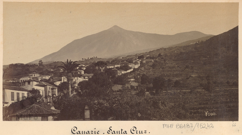 Wyspy Kanaryjskie. Santa Cruz. Panorama mista i wyspy.
