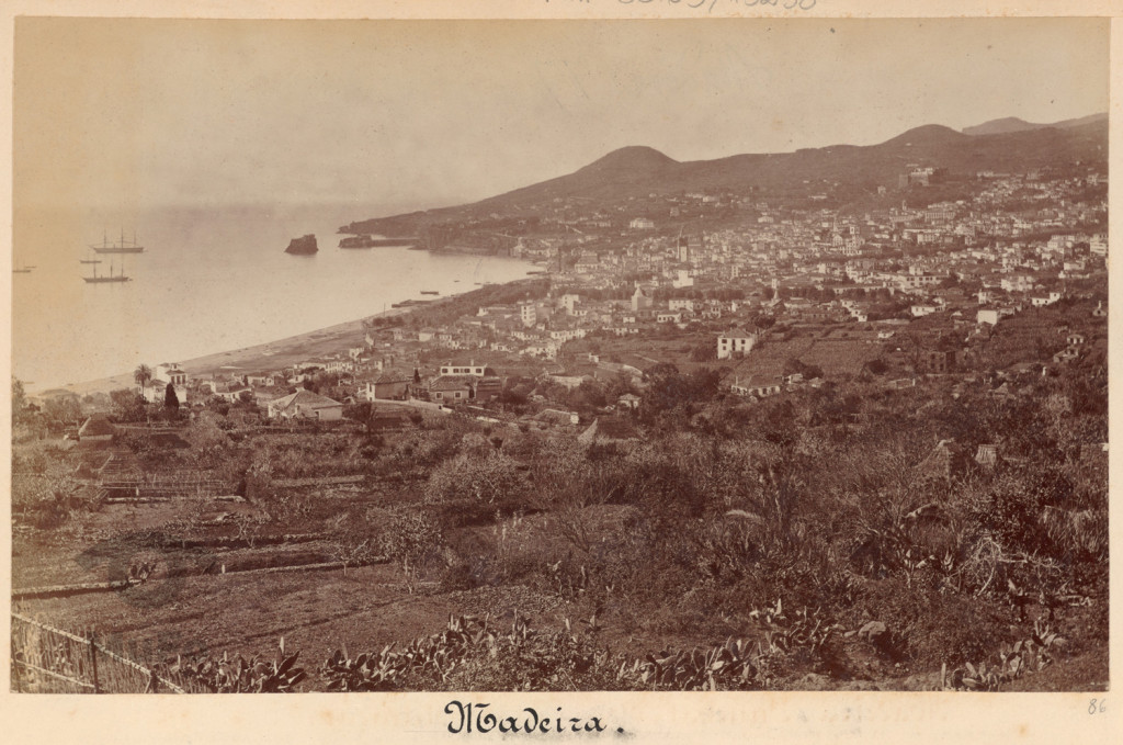 Madera, widok na zatokę i Funchal