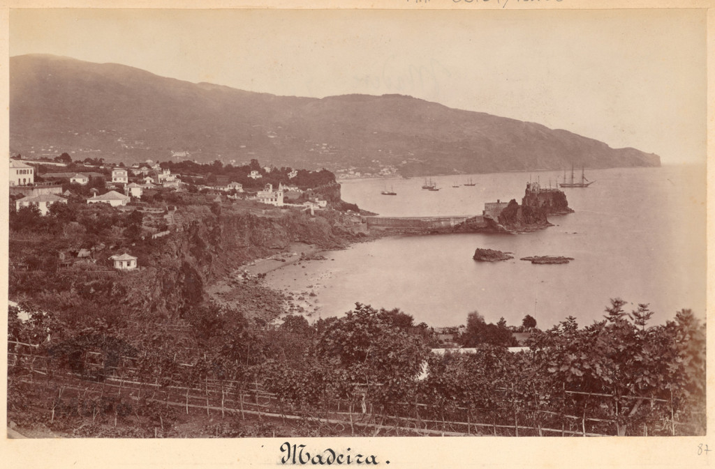 Madera, widok na zatokę i Funchal