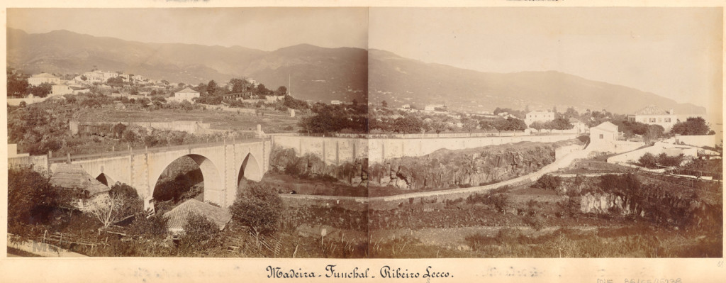 Madera, widok na zatokę i Funchal