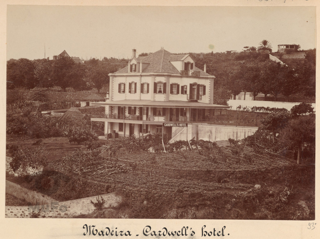 Madera. Hotel Cardwella, widok.