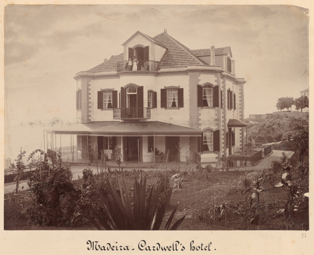 Madera. Funchal. Hotel Cardwella