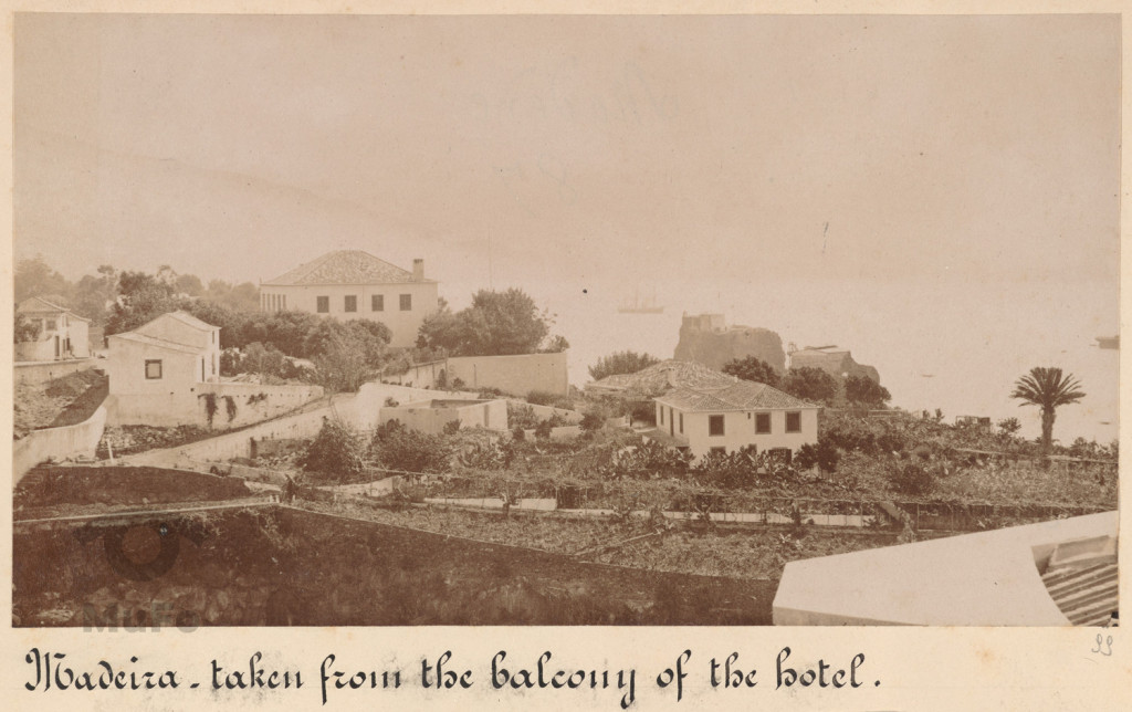 Madera. Funchal. Widok na wille w ogrodach i zatokę,