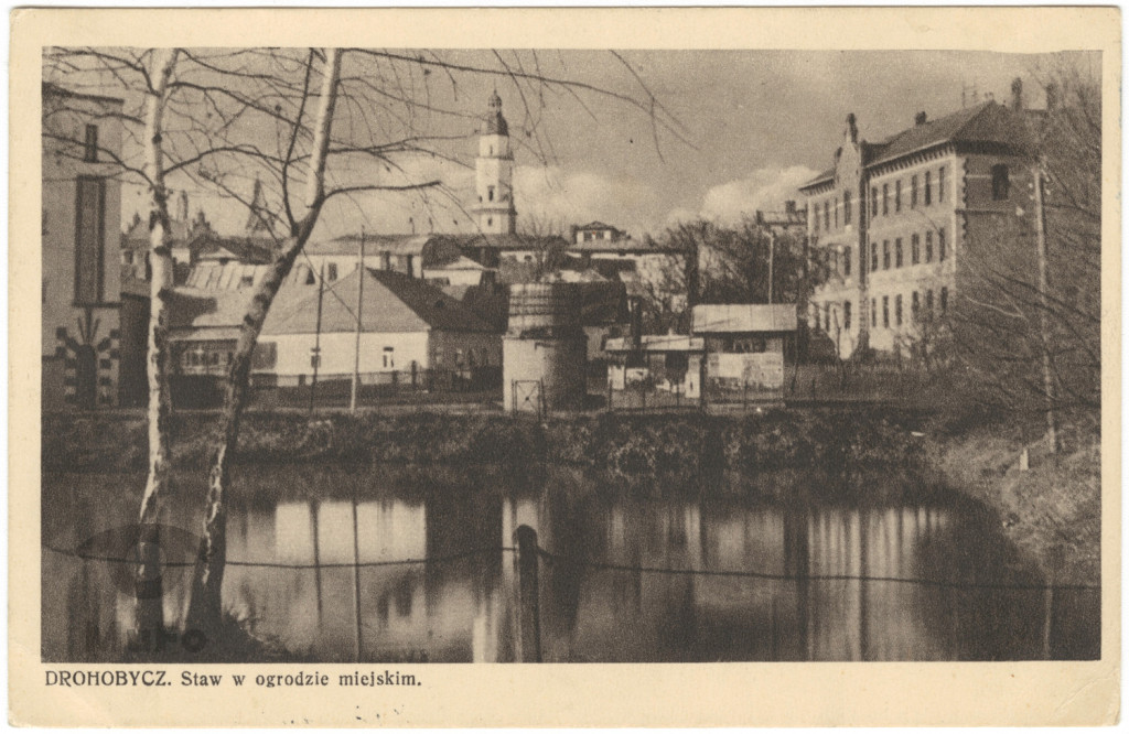 Drohobycz. Staw w ogrodzie miejskim.