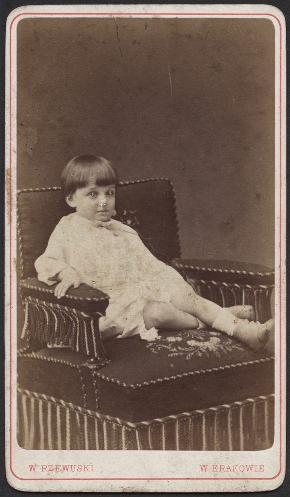 Władysław Zamoyski, portret