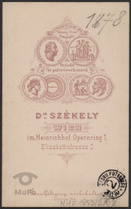 portret mężczyzny.