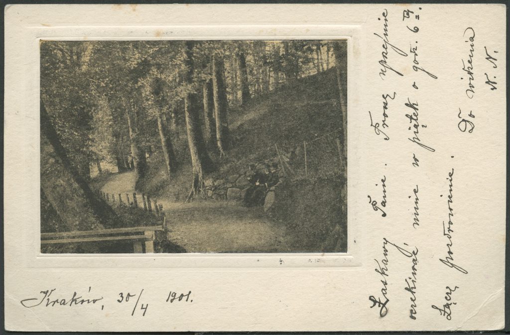 Reprodukcja ilustracji, ścieżka w parku