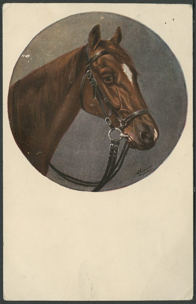 Reprodukcja rysunku, łeb konia w okręgu