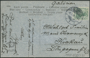 Reprodukcja rysunku, pies wyżeł