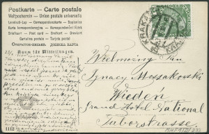 Reprodukcja rysunku, kot