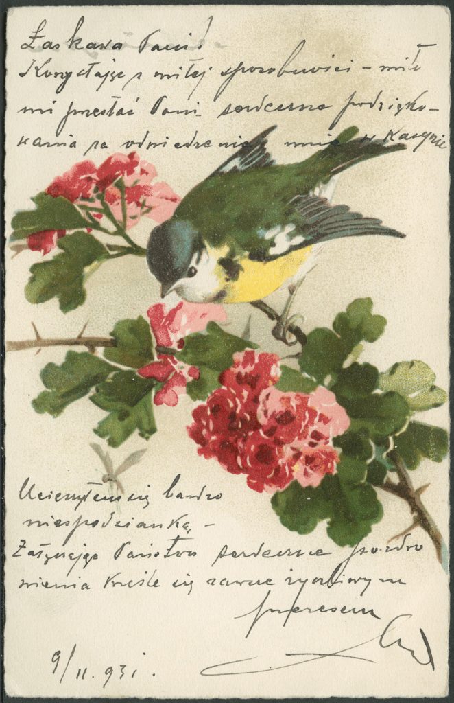 Reprodukcja grafiki, sikorka na gałązce