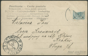 Kobieta w todze, portret