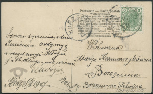 Dziewczyna z kwiatami bzu, portret