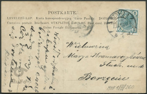 Reprodukcja, kobieta i pies