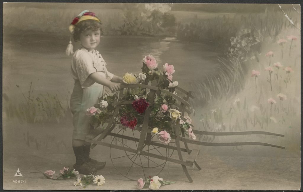 Dziecko z wózkiem kwiatów