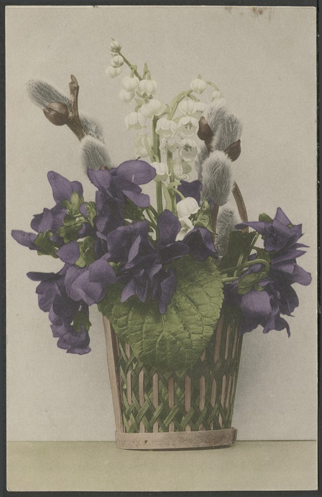 Reprodukcja, koszyk kwiatów