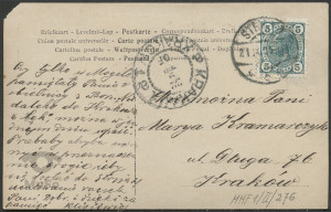 Dziewczyna z kwiatami we włosach, portret