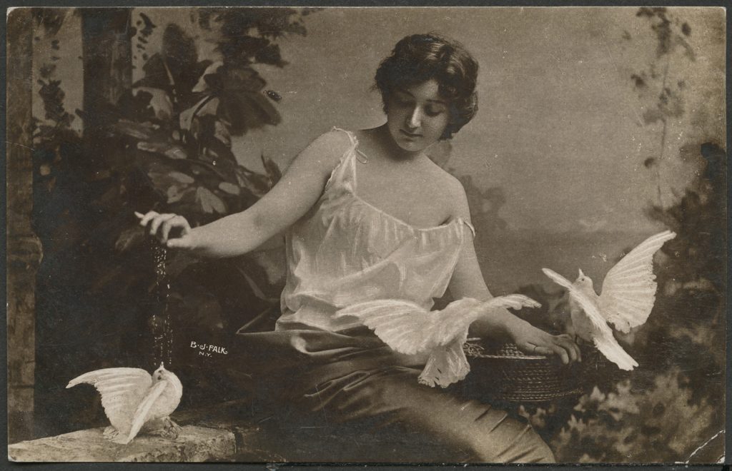 Kobieta wśród gołębi