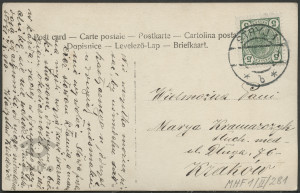 Dziewczyna w welonie, portret