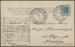 Dziewczyna z kwiatami we włosach, portret